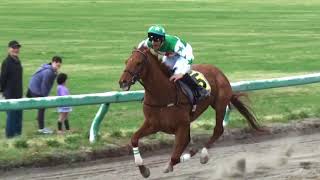 2018相馬野馬追振興・春季競馬大会