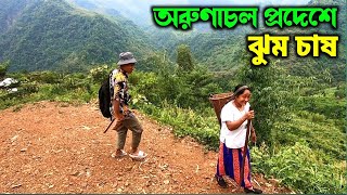 উত্তর-পূর্ব ভারতের চাষ কিভাবে হয়? ঝুম চাষ। North-east India Cultivation Process | Step Cultivation