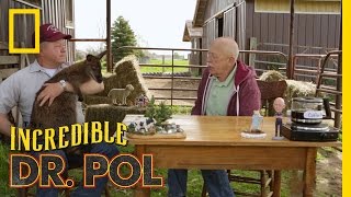 Bob and Weave - Season 3, Episode 4 | Coffee Break With Dr. Pol