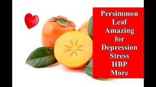 Persimmon Leaf Amazing for Depression, Stress, HBP, and More