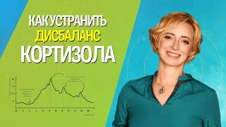 Суточный ритм кортизола. Признаки дисбаланса и нормализация кортизола