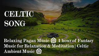 Relaxing Pagan Music 🏵 1 hour of Fantasy Music for Relaxation & Meditation | Celtic Ambient Music 🏵