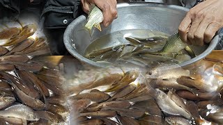 Gỏi Cá Nhảy Tây Bắc Cao Thủ Ăn Cả Chậu Cá Thánh Ăn Cá Nhảy Có 102