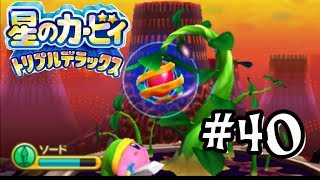 #40 歴代ビッグバンボスぽよ！【星のカービィトリプルデラックス】実況プレイ