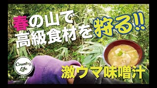 春の高級食材、根曲り竹（姫竹）を狩る！それを使って美味すぎる竹の子汁を作る！