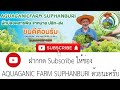 aquaganic farm ตอน การสร้างโมเดล ยูทูปเบอร์ how to ep 2