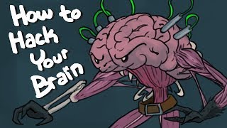 How To Hack Your Brain - Top 6 Nootropics