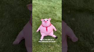 Your pocket-sized stress reliever is here – Plash Piggy squishy!#squishy #toys #subscribe