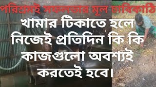 কিভাবে খামার করলে কোনদিনই লস হবে না। পরিশ্রমই সফলতার মূল চাবিকাঠি।  Cow Farming. English 2024.