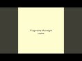 Fragments Moonlight