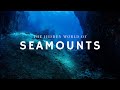 The Hidden World of Seamounts