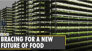 Your Story: Danish startup unveils giant vertical farm | Denmark | World News