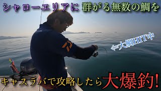 初心者必見!?今の時期はシャローエリアをキャスラバで攻略せよ!!【タイラバ】