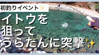 イトウも放流✨うらたんの正月は最高かよ💦【エリアトラウト】【管理釣り場】【うらたんざわ渓流釣場】