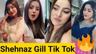 ShehNaz Gill Big Boss Tik Tok Videos|| Latest Shehnaz Gill Songs