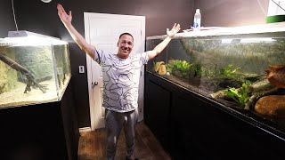 FISH ROOM REVEAL! The king of DIY aquarium gallery
