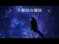 黑鸭子组合【月朦胧鸟朦胧】