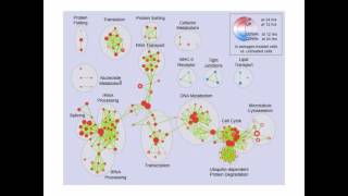 Enrichment Maps