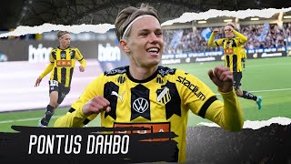 Pontus Dahbo ● 2023