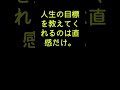 名言・格言・ことわざ たいていの人はほんとうになにがほしいのか、心の中でわかっています。人生の目標を教えてくれるのは直感だけ。 shorts 名言 格言