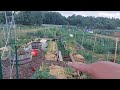 progress at horn farm community gardens