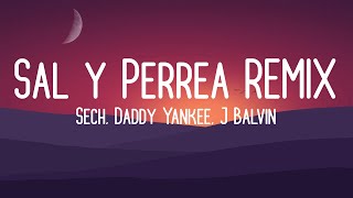 Sech, Daddy Yankee, J Balvin - Sal y Perrea REMIX (Video Letra)