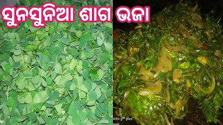 sunsunia saga||sunsunia saga fry||ସୁନସୁନିଆ ଶାଗ ଭଜା