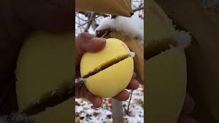 🍎🍊農場新鮮な忍者フルーツカッティング🍓🥝Fruit Cutting Oddly Satisfying Fruit Cutting