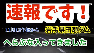 へらぶな 釣り田瀬ダム今年最後の最終日！翌日へら入ってきました