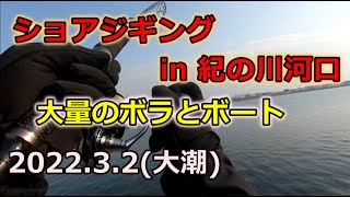 2022年3月2日　和歌山　紀の川　大量のボラとボートが沸いてましたｗ　釣果アリでしたので是非見てください