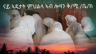 ኣብ ስዊትዘርላንድ አብ ከተማ ሎዛን ናይ ትግራይ ኦ/ተ/ ቅ/ሚ/ቤ/ክ  ምህልላ ኣዴታት 2022