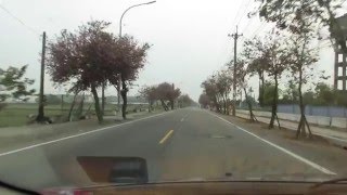 2016/03/31 雲林土庫馬光國中印度櫻花隧道