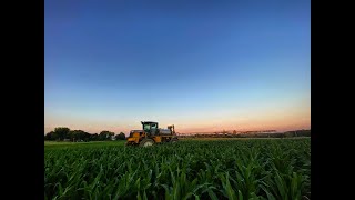 Foliar Feeding Corn