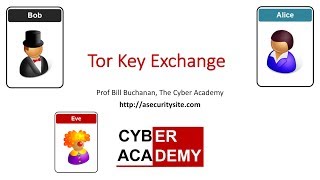 Tor Network Key Exchange - Curve25519