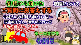 『ゆっくり解説』皆様のから頂いたご質問にお答えする。第二回質問集～その１５！