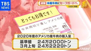 アメリカ産牛肉にセーフガード １８日に発動 ３０日間