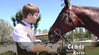 SCAD Equestrian: horses and beauty at the ANRC Equitation Championship