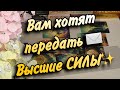 ✨Вам ПИСЬМО от Высших Сил❗️Примите это ПОСЛАНИЕ‼️