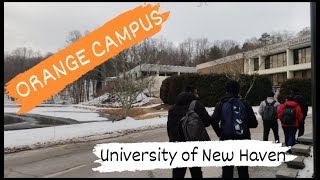 Orange Campus of University of New Haven #hindivlogs #vlogging @unewhaven