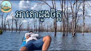 អាតោដួងចិត្ត-តំបន់ទេសចរណ៍ព្រៃលិចទឹកដែលមានដេីមឈេីងងាប់ជាច្រេីននៅក្នុងទឹកបឹងក្លាយជាតំបន់ទេសចរណ៍ប្លែក