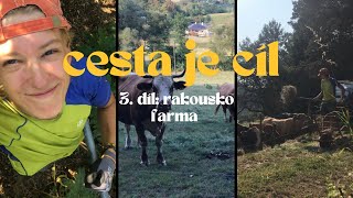 CESTA JE CÍL | 3. DÍL: RAKOUSKO 🇦🇹: FARMA | Život na farmě, můj první WorkAway a změna plánu 🐮🚜🧩