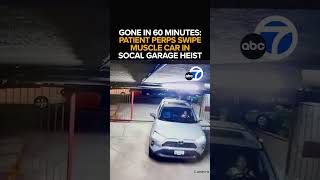 Patient perps swipe muscle car in SoCal garage heist