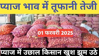 प्याज में तेजी इंदौर मंडी 01 फरवरी 2025 । Indore Mandi Pyaj bhav,aaj ka pyaj bhav#onion_rates_today