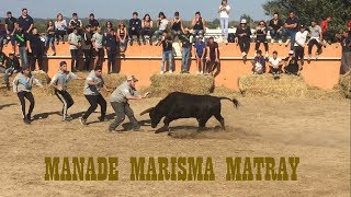 Concours d'Attrapaires de Face Manade Marisma Matray 2017