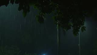 비 내리는 밤 수면을 위한 폭우 빗소리 즉시 불면증 해소 ASMR 백색소음