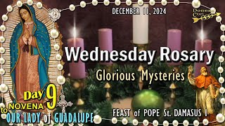 WEDNESDAY Holy Rosary🌹GLORIOUS Mysteries, FEAST of POPE St. DAMASUS I, DAY-9 GUADALUPE NOVENA Dec 11