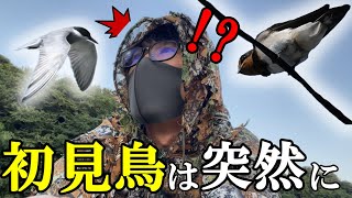 8月の千葉の野鳥！COOLPIXで撮影してると見たことない野鳥がきた！！