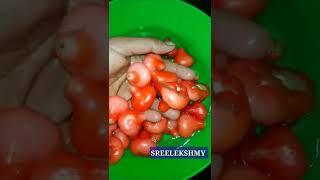 ചാമ്പക്ക അച്ചാർ Tasty Water apple pickle #shorts #cooking #healthyrecipe #nadancurry #youtubeshorts