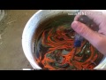 Spray Paint Hydro-dip