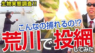 【投網】荒川で投網したら○○が捕れた！？ 荒川の生物多様性を料理して食べる！【荒川で投網\u0026グルメ】前編